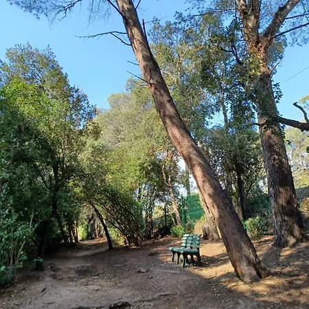 Cosy En Bord De - Port Santia Lucia St Raphael Apartment *